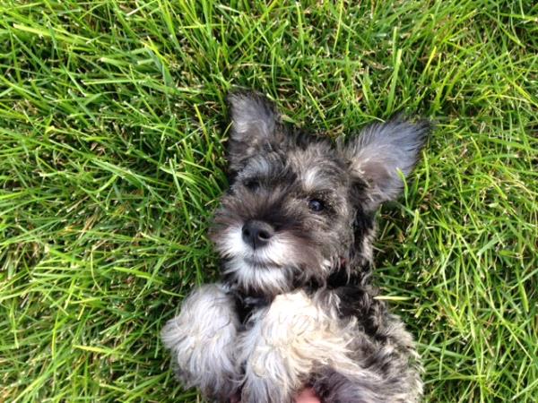 /Images/uploads/Humane Society of Utah/HSUCalendar/entries/816thumb.jpg